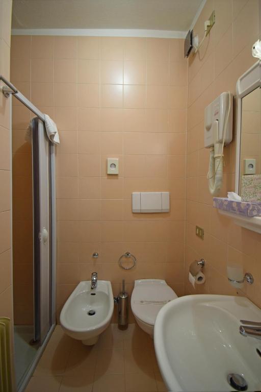 Koupelna v ubytování Hotel Comelico