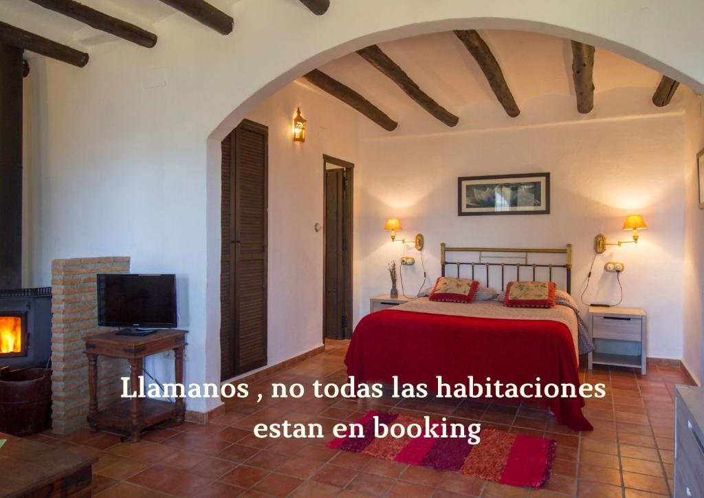 Schlafzimmer mit einem Bett, einem TV und einem Kamin in der Unterkunft Hotel Rural Alqueria de los lentos in Nigüelas