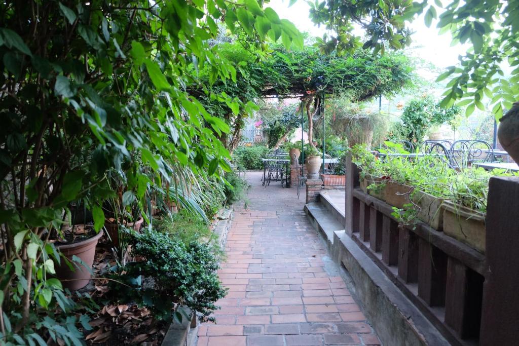 Zahrada ubytování Hotel Villa Nettuno