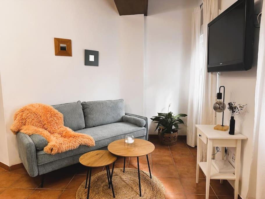 a living room with a couch and a table at La casa azul. Granada centro in Granada