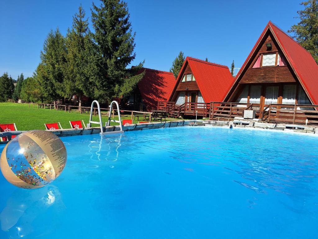 uma piscina com uma casa e uma bola na água em Pod Starym Groniem em Brenna