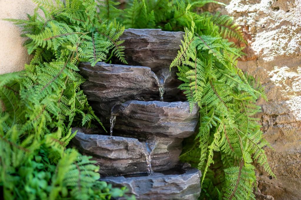 Fotografie z fotogalerie ubytování Hobart City Townhouse v destinaci Hobart