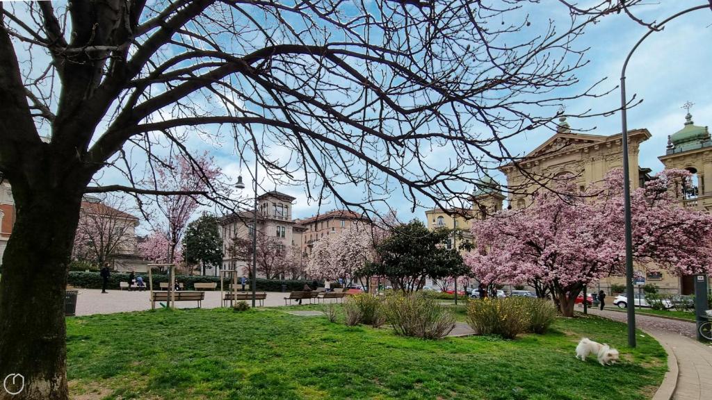 Naktsmītnes Italianway - Piazza Niccolo Tommaseo 2A Milānā fotogalerijas attēls