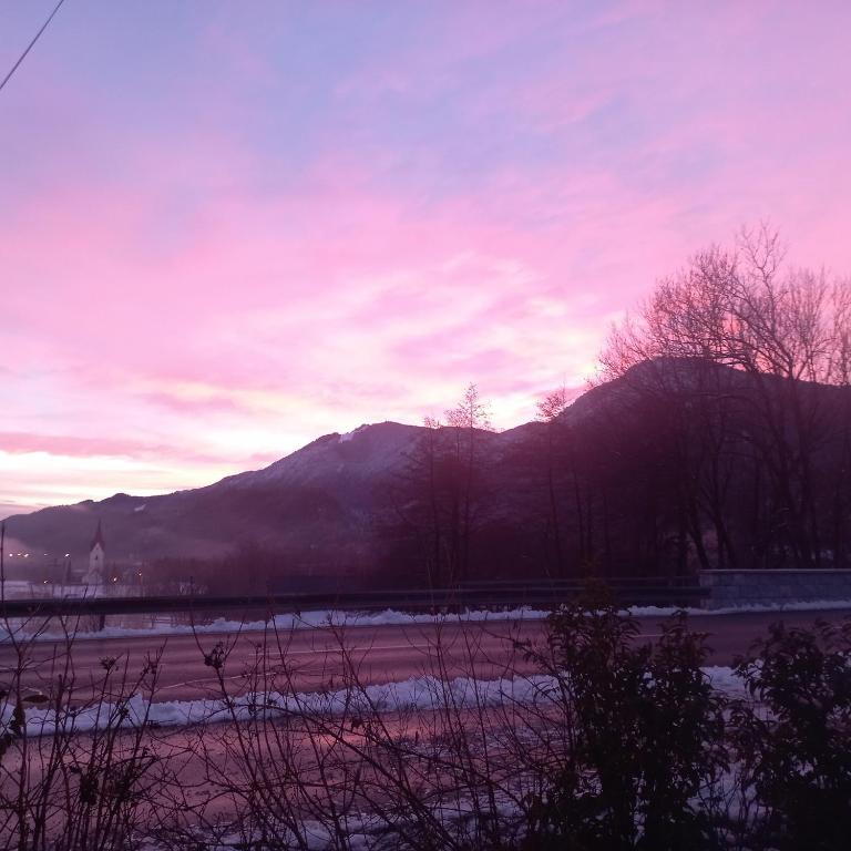 Die Pension Galle - 11