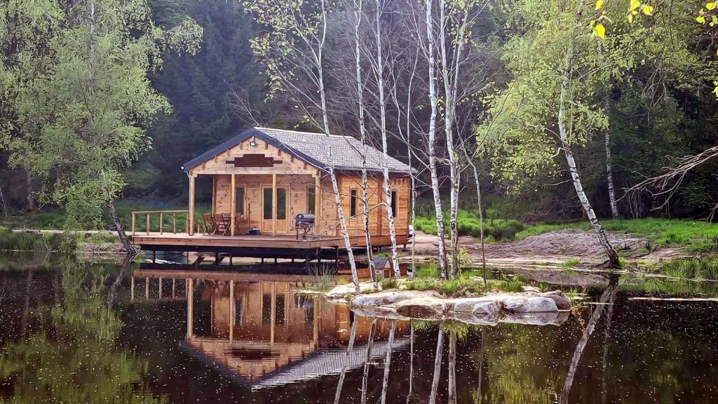 una cabaña de madera en medio de un lago en Cabane pilotis sur étang, au lac de Chaumeçon en Saint-Martin-du-Puy
