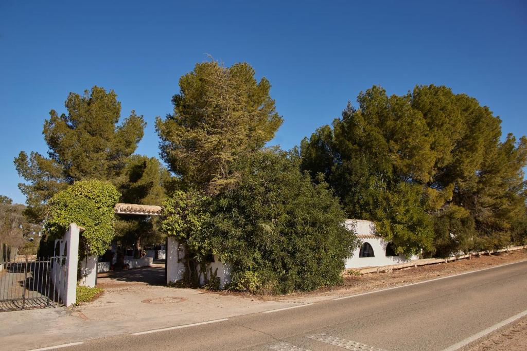 an empty road with trees and a white building at El Cortijo in Hellín