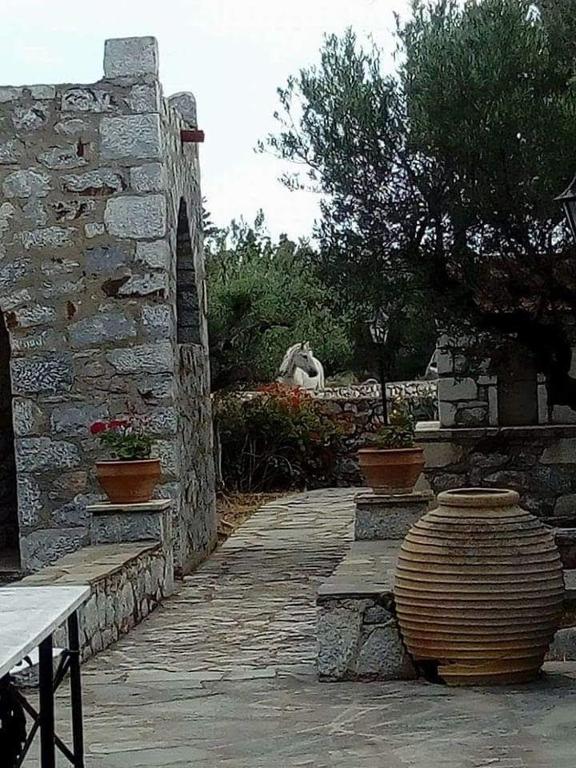 Zahrada ubytování Charouda stone tower xenonas