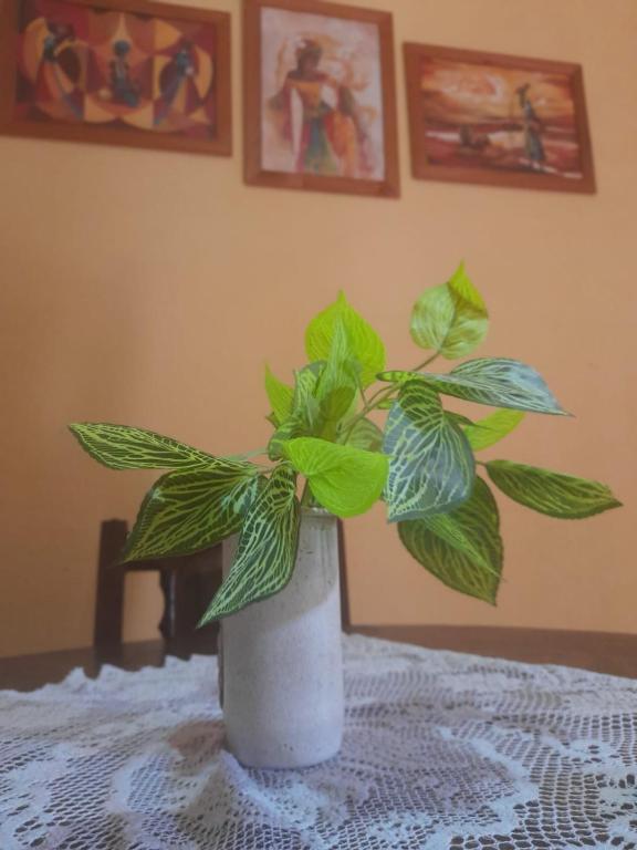 a green plant in a white vase on a table at Apart incone in Formosa