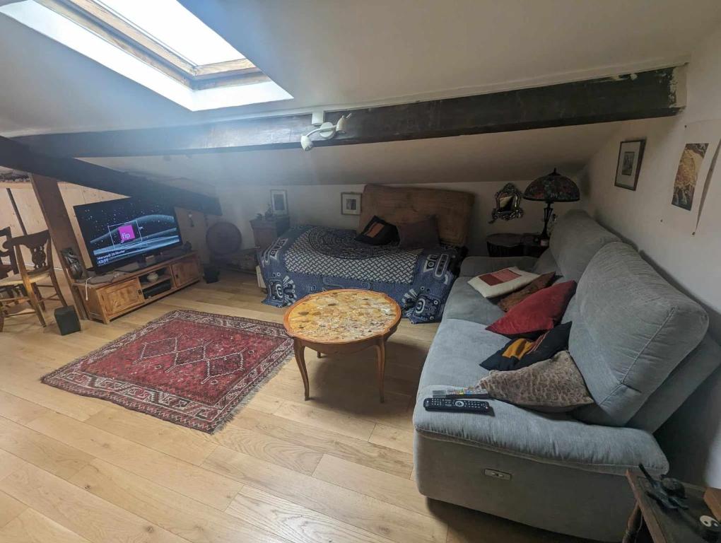 un salon avec un canapé et un lit dans l'établissement Loft cosy et lumineux à Paris,Les Lilas dans un quartier convivial proche du métro 11 