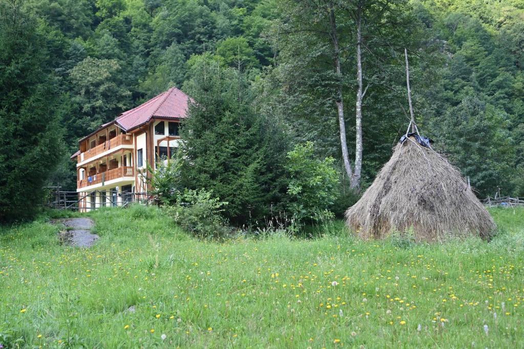 a house in the middle of a field with a building at Pensiunea Tihna in Rîu de Mori