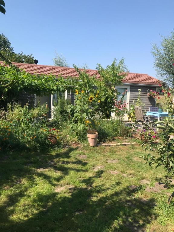 ein Hof mit einem Haus mit vielen Blumen in der Unterkunft Rosa's zonnige huisje bij duinen bos en strand in Warmenhuizen