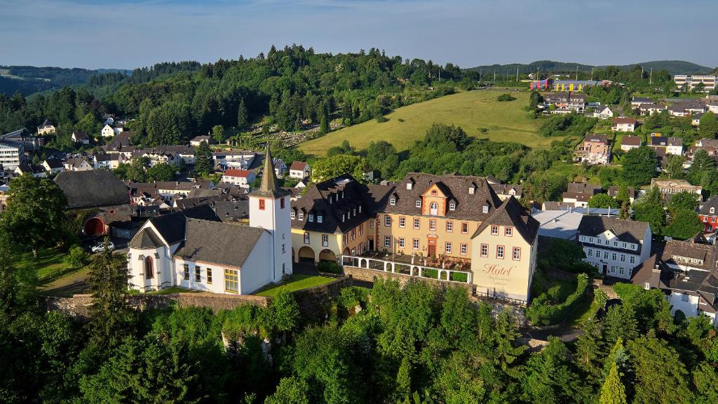 uma vista aérea de uma cidade com casas e uma colina em Schloßhotel Kurfürstliches Amtshaus Dauner Burg em Daun