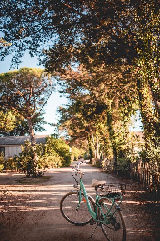 a green bike parked on a street under trees at Le Phare in Les Portes