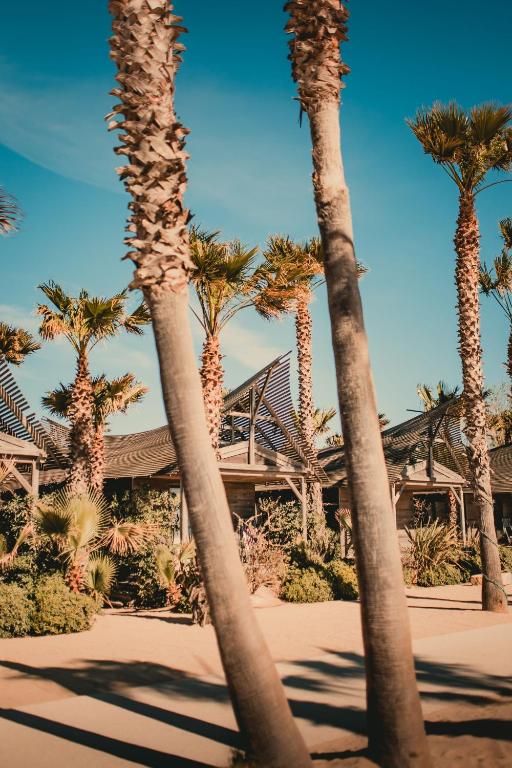 a group of palm trees in front of a house at Les Prairies de la Mer in Grimaud