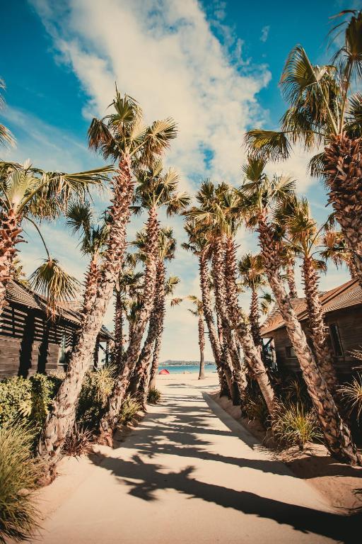 a path lined with palm trees on the beach at Les Prairies de la Mer in Grimaud