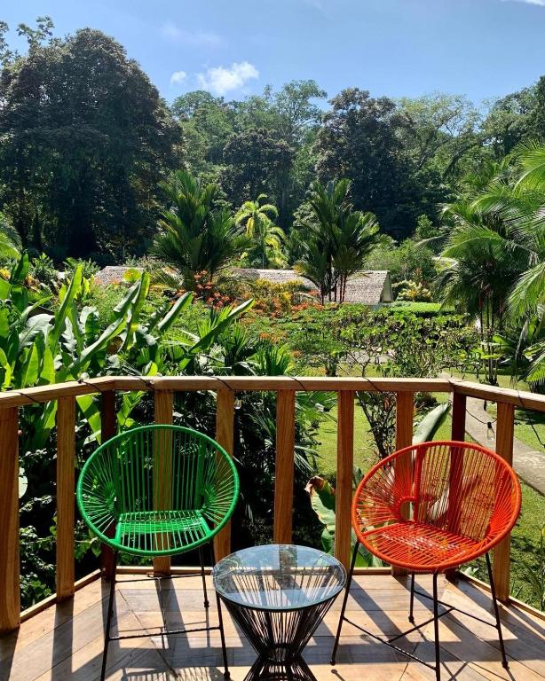 Zahrada ubytování La Rana De Cahuita