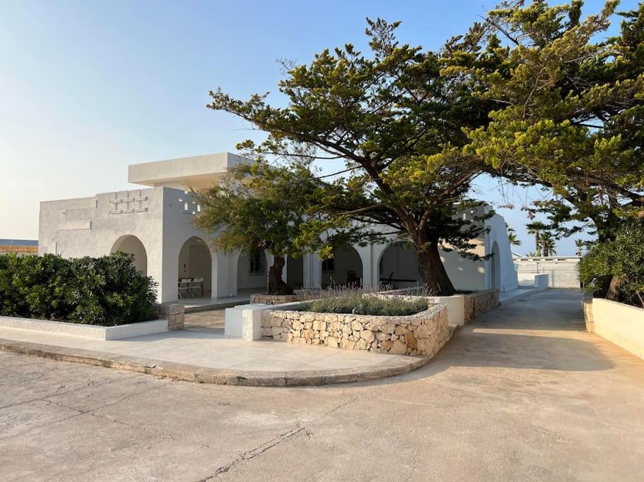 a building with a tree in front of it at Uliveus - Villa Duna fronte mare in Faccia di Trippa