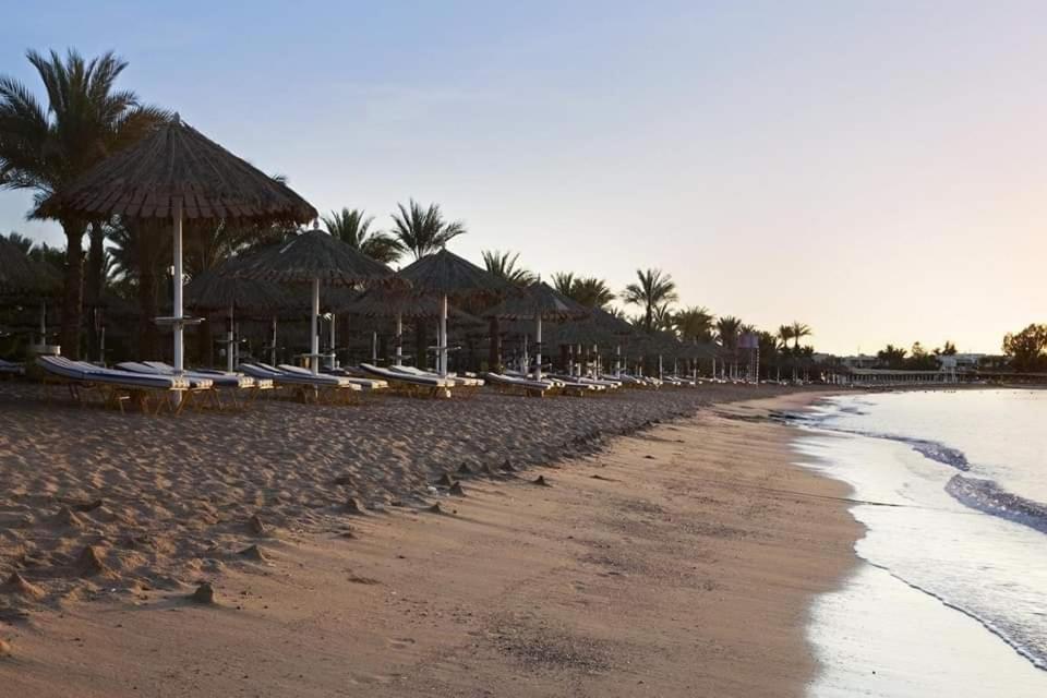 einen Sandstrand mit Sonnenschirmen und Stühlen und das Meer in der Unterkunft chalt with pool view in Sharm El Sheikh