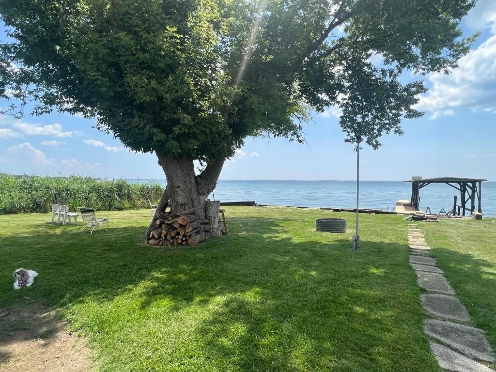Φωτογραφία από το άλμπουμ του Lake Front Lower Unit σε Fair Haven