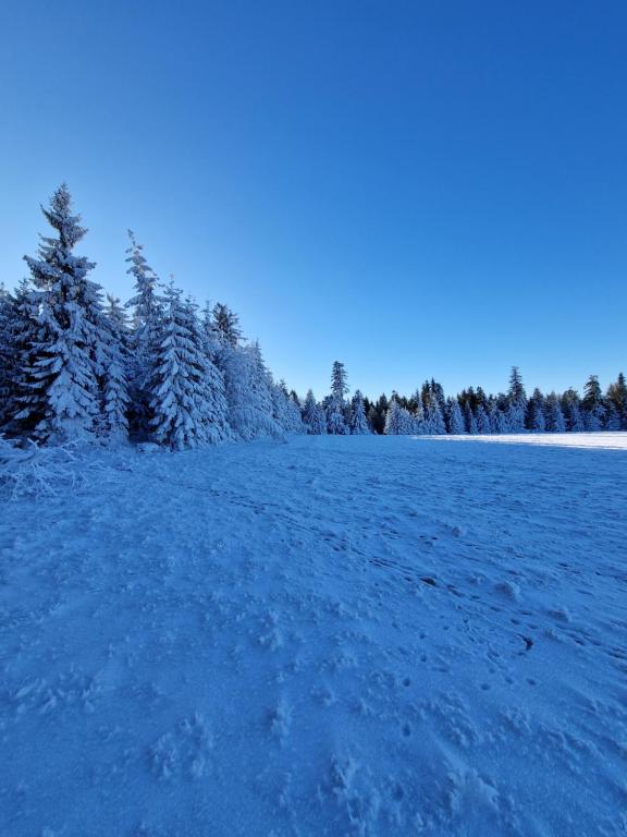 Domek pod Jagodną 824 m n.p.m. Spalona 6 BE pozimi