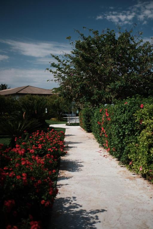 a pathway with red flowers and a hedge at Prinsotel La Dorada & Spa in Playa de Muro
