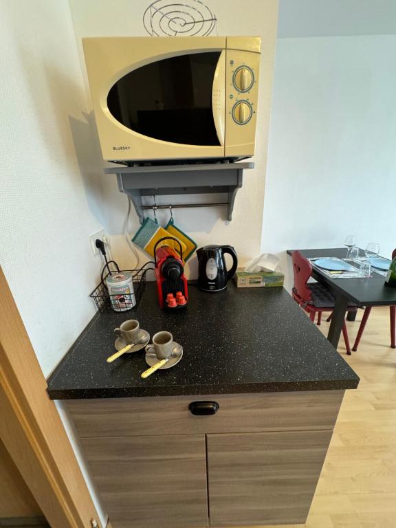 Le "Petit Colmarien" à 1mn du centre – photo 8