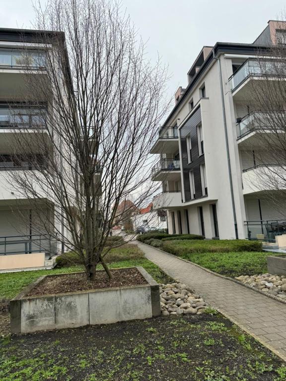 Le "Petit Colmarien" à 1mn du centre – photo 6