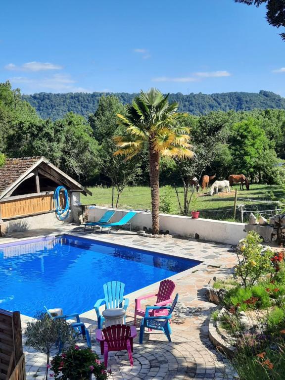 een zwembad met stoelen en een palmboom bij gîte des 2 Lions in Murs-et-Gélignieux