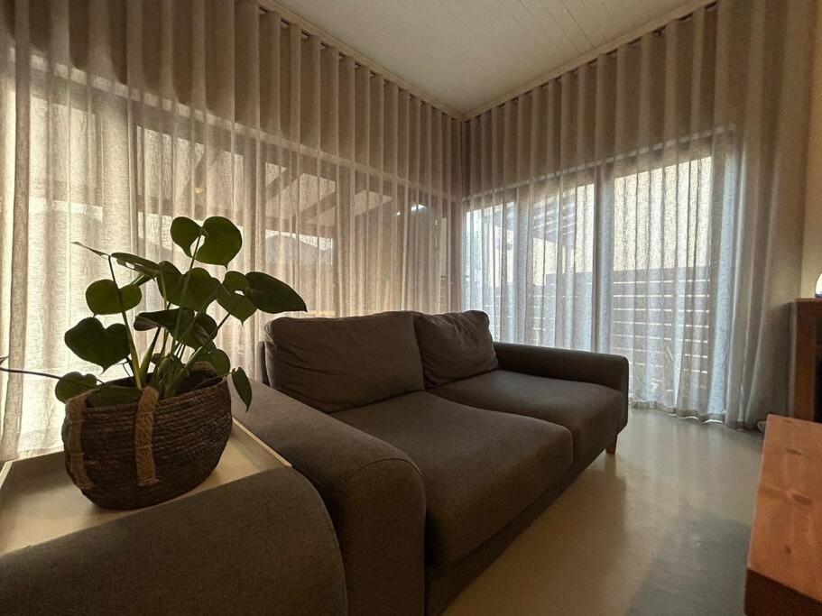 sala de estar con sofá y maceta en Comfortable home centrally located in Hoedspruit, en Hoedspruit