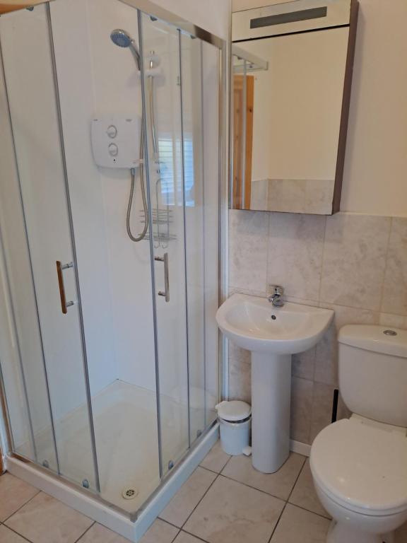 a bathroom with a shower and a toilet and a sink at Drogheda Townhouse in Drogheda