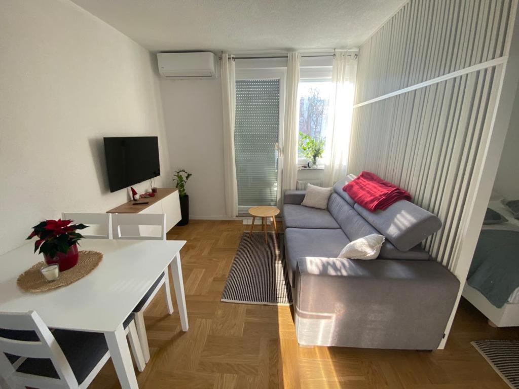 - un salon avec un canapé et une table dans l'établissement Studio Apartman Ana, à Zagreb