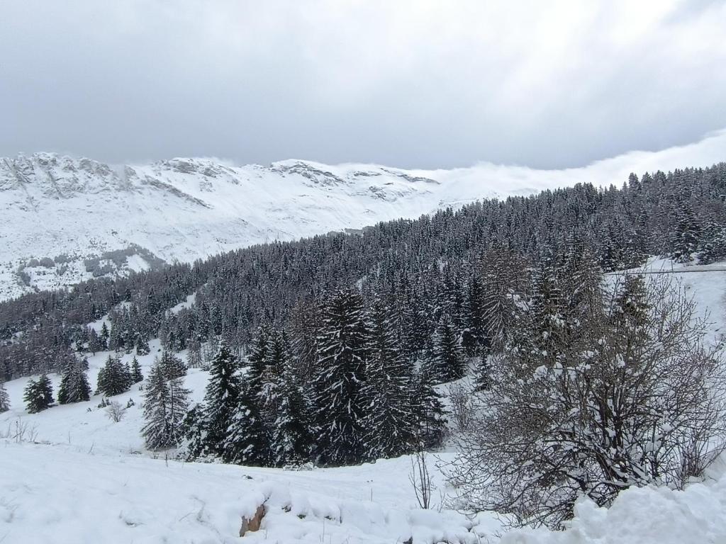 Appartement cosy dans chalet vue Montagne v zime