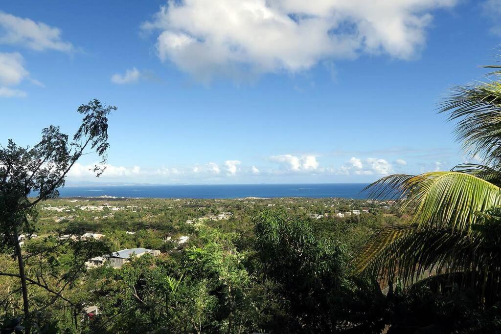una palmera con vistas al océano en Oceanview Apartment with Garden Access, en Vieques