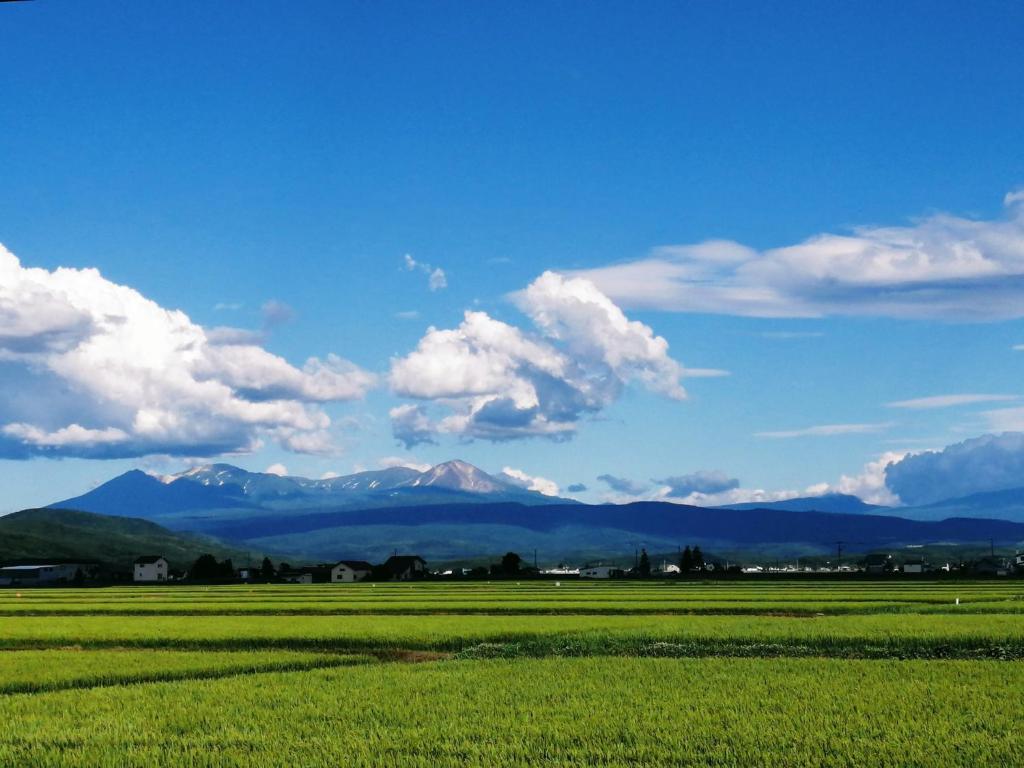 a field of green grass with mountains in the background at mizuki - Vacation STAY 12130v in Higashikawa