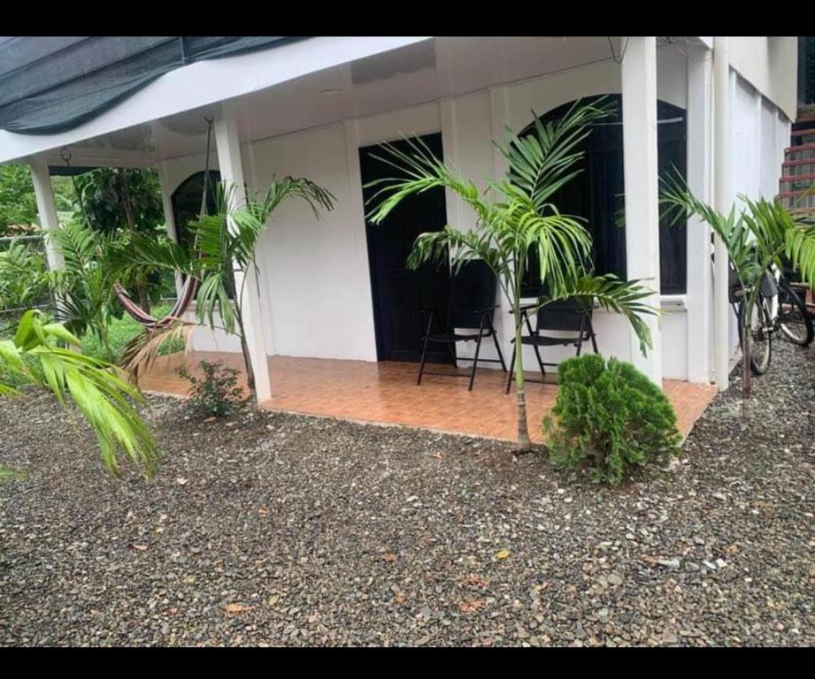 a porch of a house with palm trees in it at Casa caribes in Puerto Limón