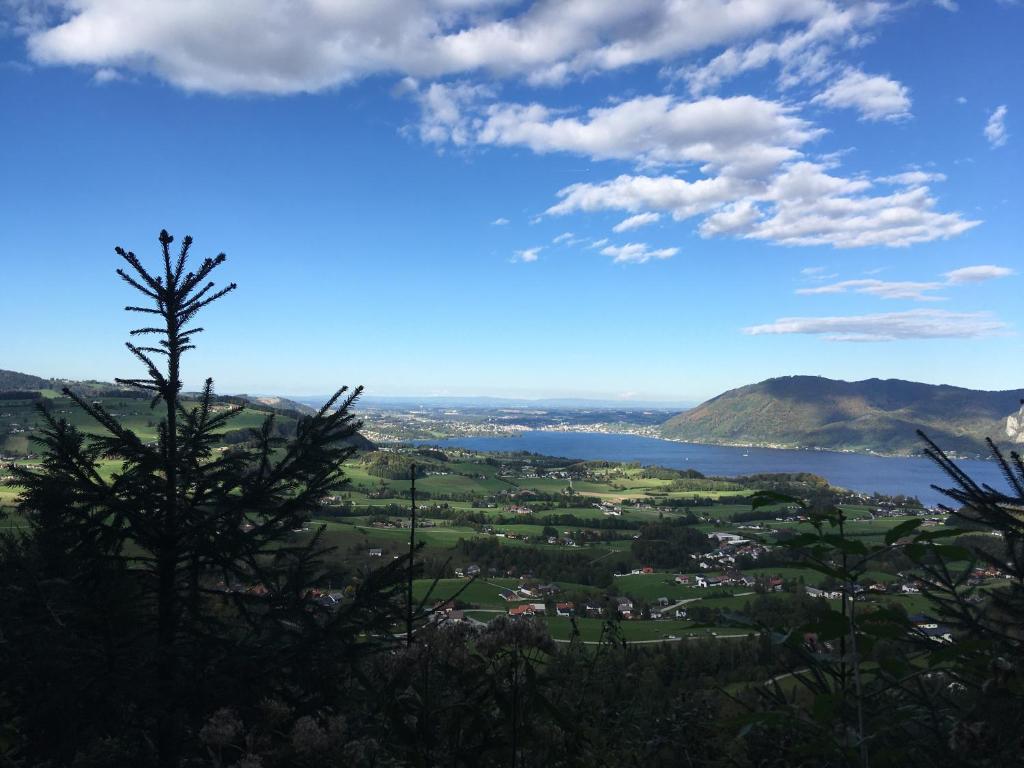 Paesaggio naturale nelle vicinanze dell'appartamento