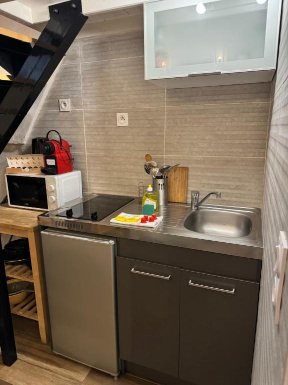 a small kitchen with a sink and a stove at Studio St Vincent cosy 2 pers Quai de Saône in Lyon