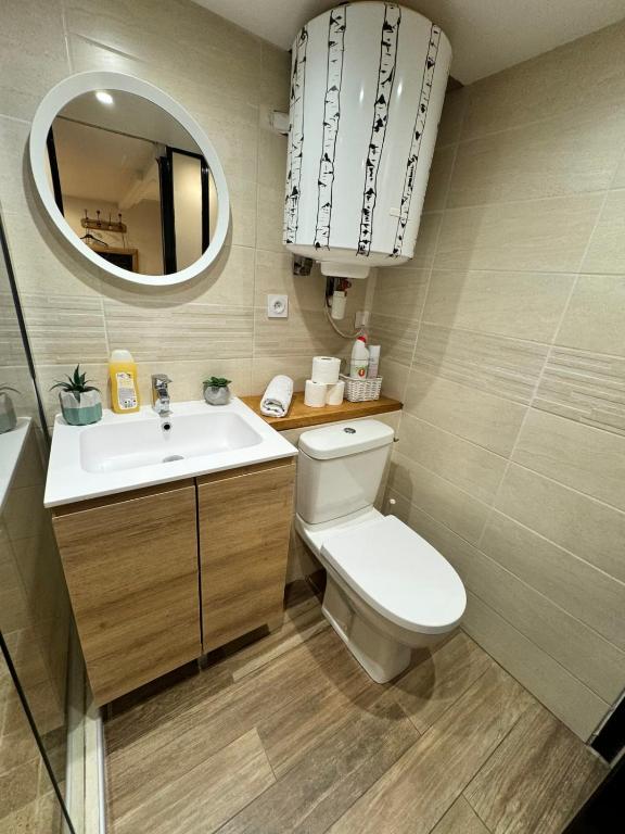 a bathroom with a toilet and a sink and a mirror at Studio St Vincent cosy 2 pers Quai de Saône in Lyon