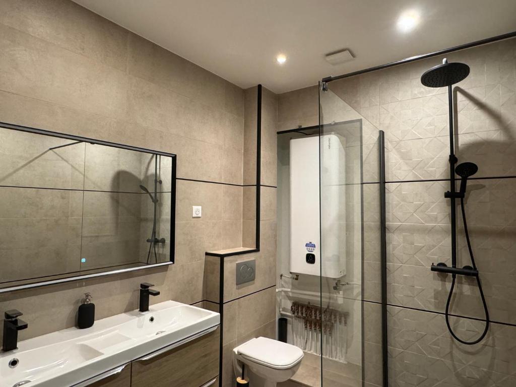 une salle de bain avec une douche, des toilettes et un lavabo dans l'établissement Appartements Centre Cannes, à Cannes