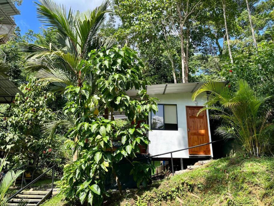 una pequeña casa blanca con un árbol delante en Vimanas Surf Shack, en Talamanca