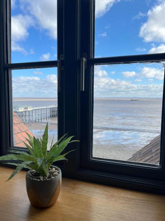 Beachcliff Rooms & Apartments - Deluxe King Suite