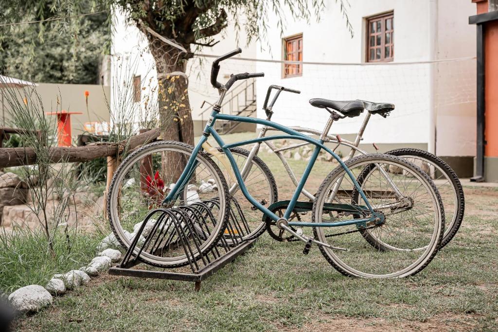 Dos bicicletas están estacionadas junto a un árbol. en Hostal La Vidala en Tafí del Valle