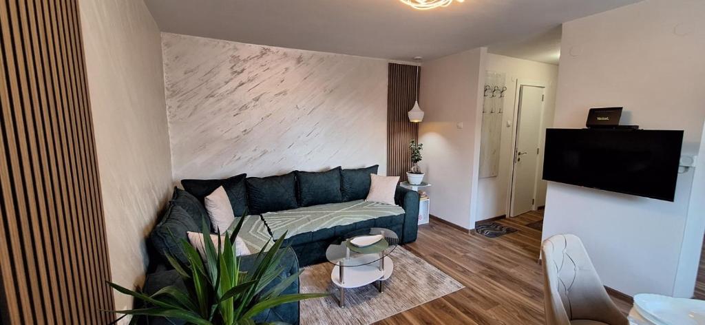 TV a/nebo společenská místnost v ubytování Apartman Bonsai