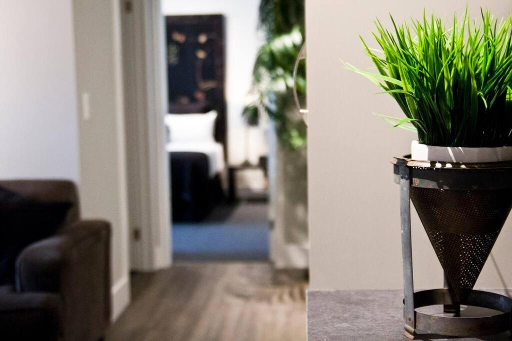 a plant sitting on a stand in a living room at Woodbine Warehouse Apartment in Toronto