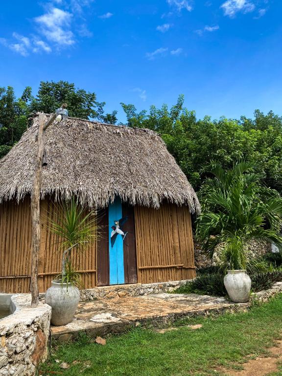 Zahrada ubytování Xkopek, Camping y Cabañas
