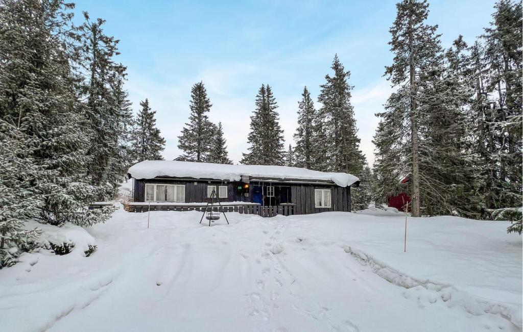 uma cabana na neve com árvores cobertas de neve em Stunning Home In yer With House A Mountain View em Øyer