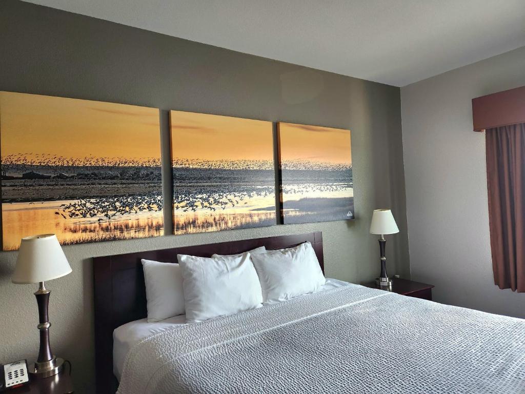 Days Inn by Wyndham Kemah - King Room - No Fumadores
