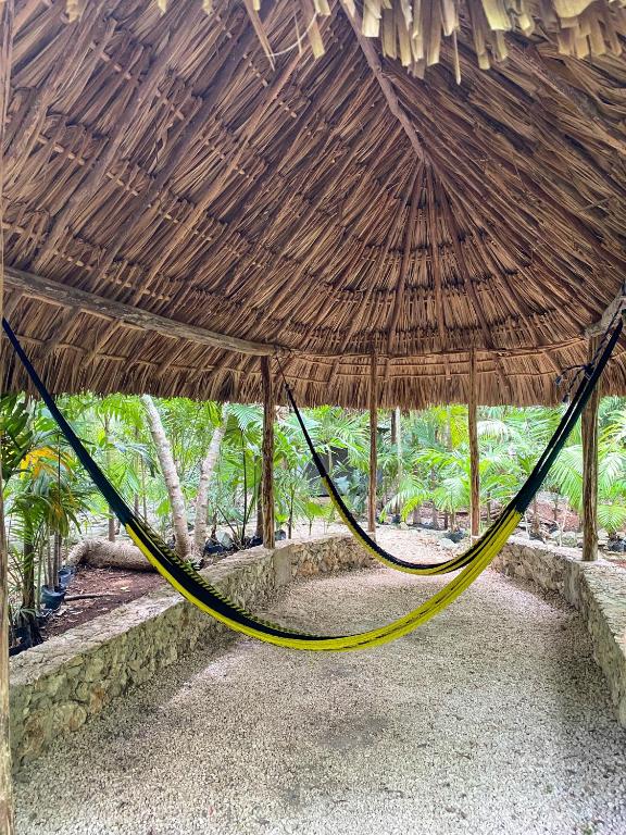 Zahrada ubytování Xkopek, Camping y Cabañas