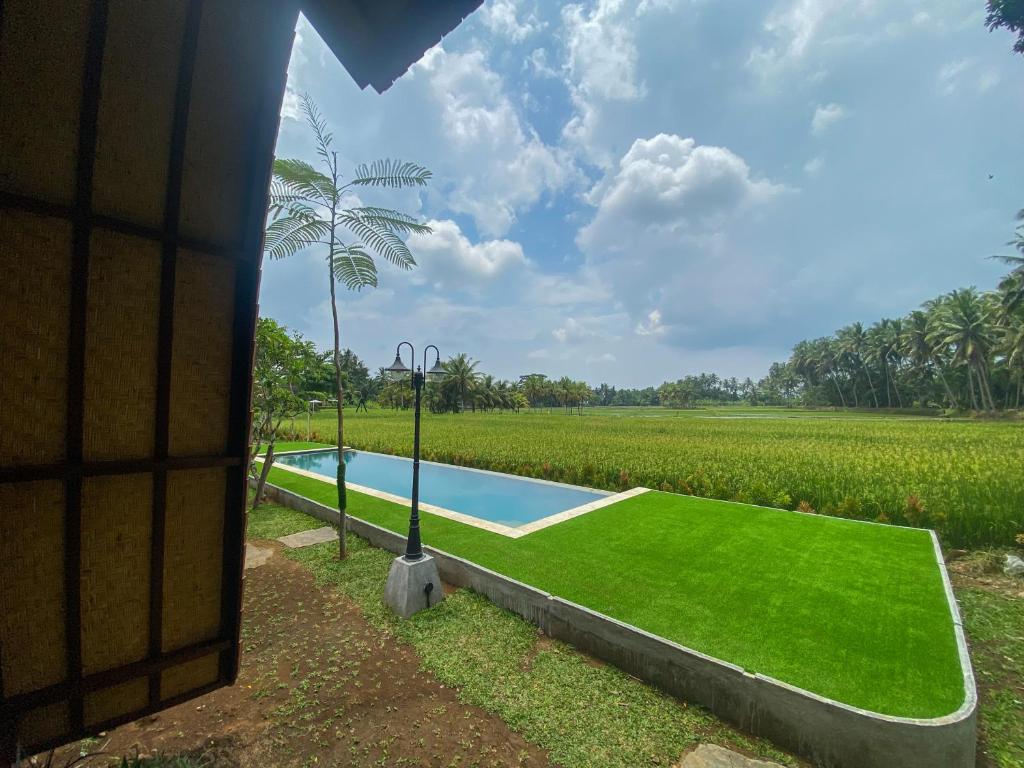 Adil Villa & Resort - Suite Room With Rice Field View