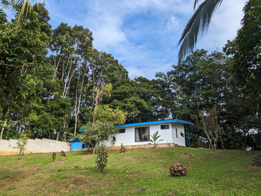ein Haus auf einem Hügel mit Bäumen im Hintergrund in der Unterkunft Loma Linda Sarapiquí Casa Nueva NEW HOUSE 3bed/2bath in Tirimbina